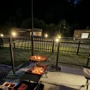 챠밍애견 이미지