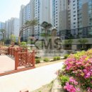 도곡1-104 이미지