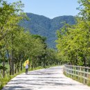 연꽃단지 화장실 이미지