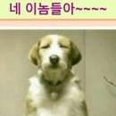 알이랑 건강 이미지