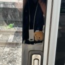 신입으로 돌아간 사람의 갭 줄이기
