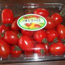 고암농장 이미지