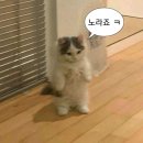 기분좋은점 이미지