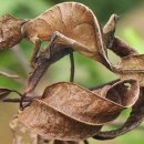 프렌즈동물병원 이미지