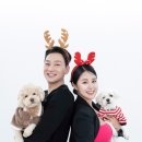 씬스튜디오 이미지