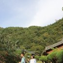 지리산 들꽃산방 한옥계곡펜션