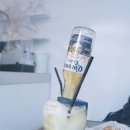 마초리브레
