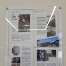 한국도로공사 충주지사 | 충주 충원대로 달래송어, 송어비빔회 포장 내돈내산 후기