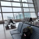 인터내셔널F/S | 나 홀로 트립 in Hongkong🇭🇰