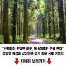 힐링 여행지 이미지