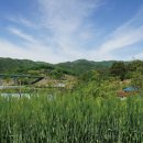 하얀민들레생태마을 이미지