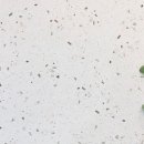 한라건재 한약품 | 제주 아파트 욕실 리모델링 후기 업체 선정 및 타일고르기