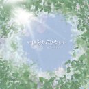 봄날의 햇살 이미지