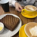 비앤비 | 시드니 키리빌리 에어비앤비 후기