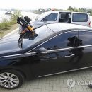 법무법인춘추 이미지