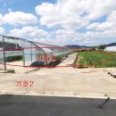 송용리1 이미지