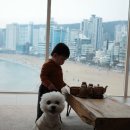 안리감성 스테이 이미지