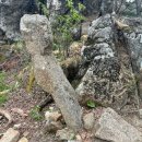 세석가는길 | 지리산 성중종주 후기(2), 세석1박 성중종주/ 등린이 지리산 종주 도전기/ 성중종주 구간별 시간표