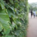 은성1호 이미지