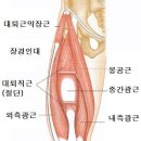 청춘휘트니스 이미지