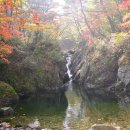 구룡소교량 이미지