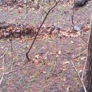 금산한국농장 이미지