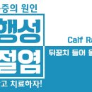 [퇴행성관절염치료법무릎에좋은운동]_5. Calf Raise 뒤꿈치들어 올리기 운동 이미지