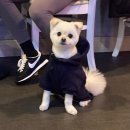 핑크짐 동탄역점 이미지