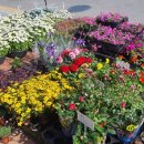 금산농약사 이미지