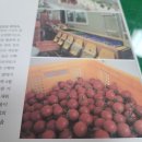 써니농장 이미지