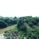 별이든샘 이미지