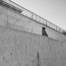 나는고양이 이미지