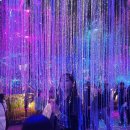 대전 오월드 : ‘사파리+야간개장 나이트유니버스’ 다녀온 후기