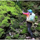 도계상동 이미지