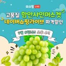 샤인커머스