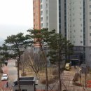 우미정원 네이버블로그