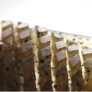 낚시천국 이미지