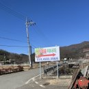 현기농장 | [가창골미나리복분자농장] 이전한곳 26년1월 9일 방문 후기