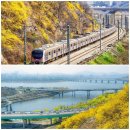 응봉동 공영주차장 화장실 이미지