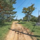 애향동산 이미지