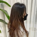 공작미용실 이미지