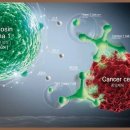 연세희망내과의원 이미지