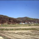 윗말농장 Daum카페