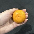 홍대 크로스핏 다이어트 실패한 사람 모여라 크로스핏칸