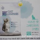 캣올 이미지