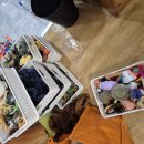 호계초교병설유치원 이미지