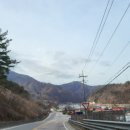화천군산림조합 티숨카페 네이버블로그