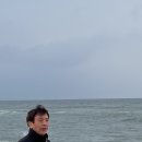 솔향기 캠프 Daum카페