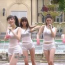 &amp; 금년 5월 띠별운세 ~~ 믿거나 말거나 ㅋ ㅋ 이미지