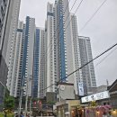 부산 시청 소문난 횟집 낚시꾼도 인정한 부위별 식감 제대로 느낀 후기